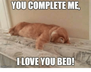 you-complete-me-i-love-you-bed-11658649
